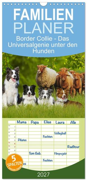 Familienplaner 2027 - Border Collie - Das Universalgenie unter den Hunden mit 5 Spalten (Wandkalender 21 x 45 cm) CALVENDO
