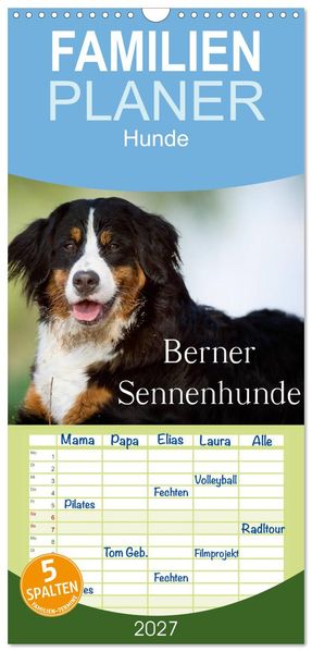 Familienplaner 2027 - Berner Sennenhunde mit 5 Spalten (Wandkalender 21 x 45 cm) CALVENDO