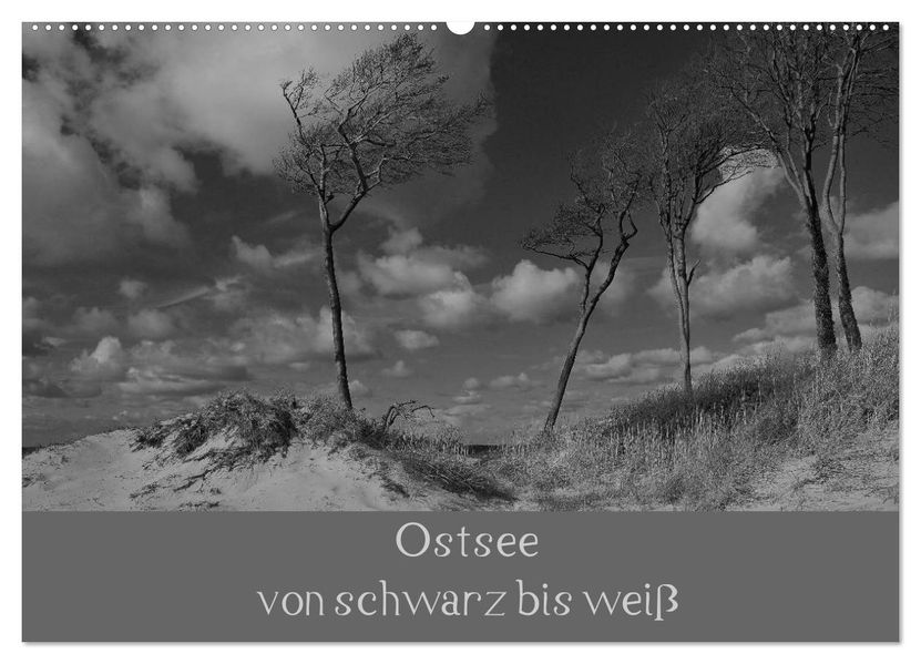 Ostsee - von schwarz bis weiß (Wandkalender 2027 DIN A2 quer) CALVENDO Monatskalender