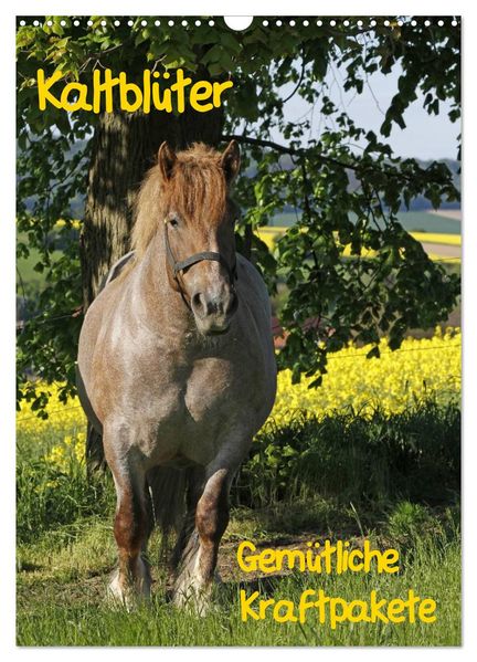 Kaltblüter (Wandkalender 2027 DIN A3 hoch) CALVENDO Monatskalender