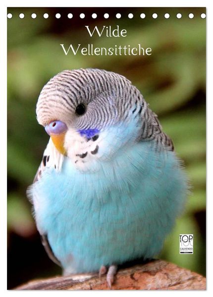 Wilde Wellensittiche (Tischkalender 2027 DIN A5 hoch) CALVENDO Monatskalender