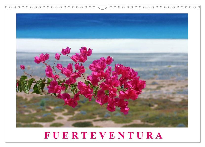 Fuerteventura (Wandkalender 2027 DIN A3 quer) CALVENDO Monatskalender