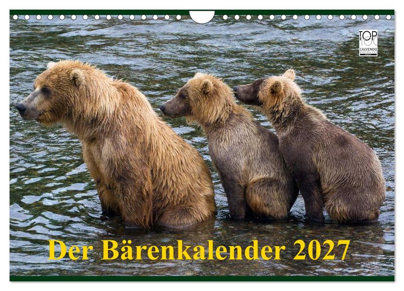 Der Bärenkalender 2027 (Wandkalender 2027 DIN A4 quer) CALVENDO Monatskalender
