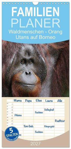 Familienplaner 2027 - Waldmenschen - Orang Utans auf Borneo mit 5 Spalten (Wandkalender 21 x 45 cm) CALVENDO