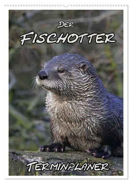 Der Fischotter-Terminplaner (Wandkalender 2027 DIN A2 hoch) CALVENDO Monatskalender