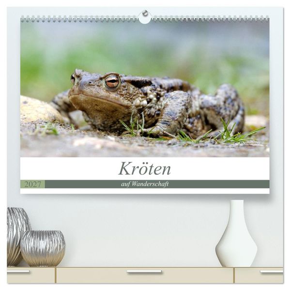 Kröten auf Wanderschaft (hochwertiger Premium Wandkalender 2027 DIN A2 quer) Kunstdruck in Hochglanz