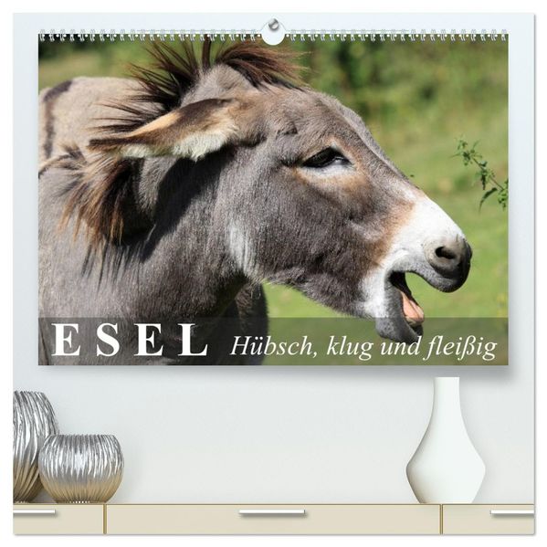 Esel - hübsch klug und fleißig (hochwertiger Premium Wandkalender 2027 DIN A2 quer) Kunstdruck in Hochglanz