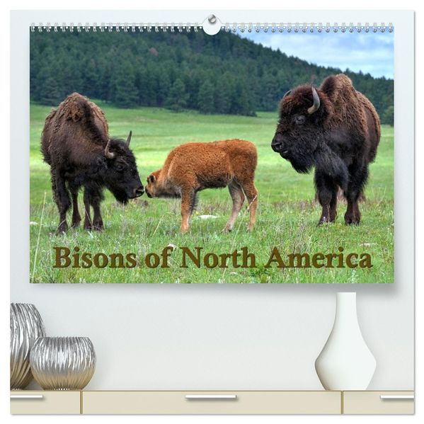 Bisons of North America (High Quality Premium Wall Calendar 2027 DIN A2 landscape)CALVENDO 12 Month Wall Calendar
