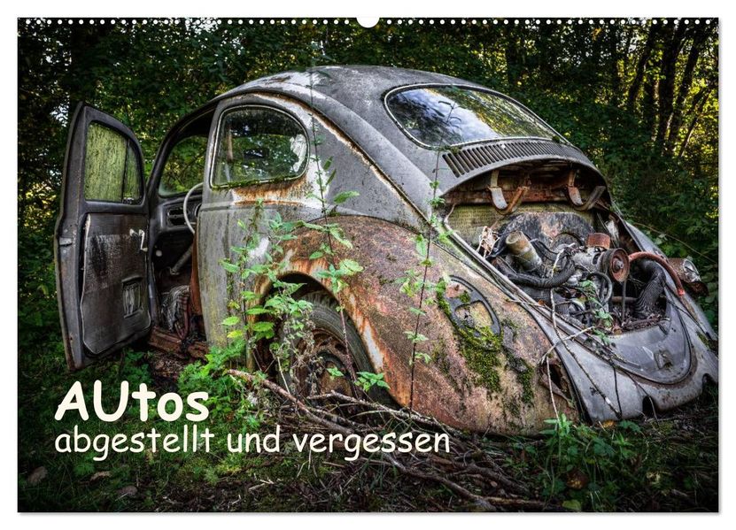 Autos abgestellt und vergessen (Wandkalender 2027 DIN A2 quer) CALVENDO Monatskalender