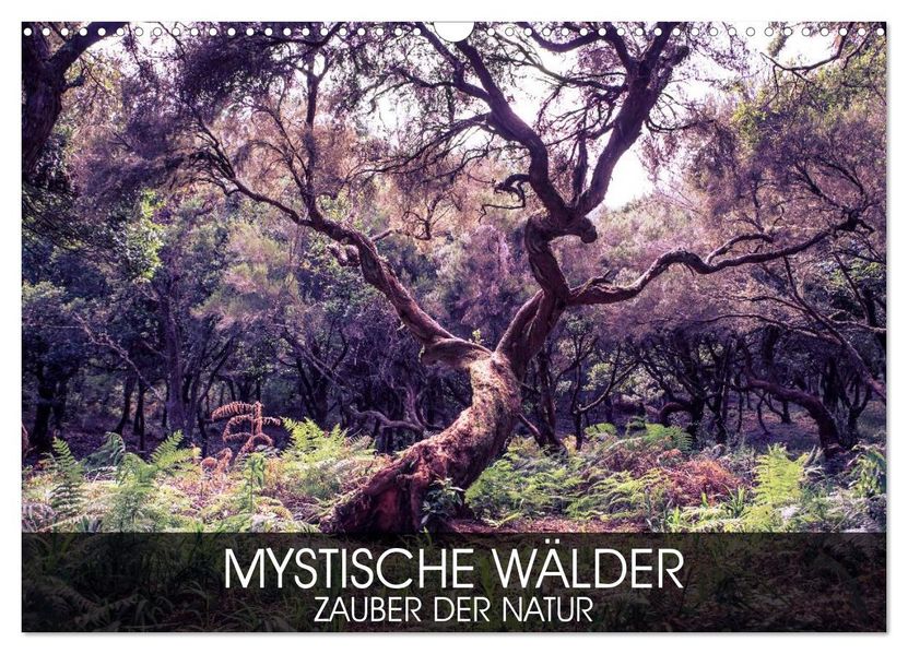 Mystische Wälder - Zauber der Natur (Wandkalender 2027 DIN A3 quer) CALVENDO Monatskalender