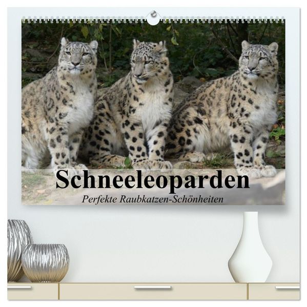 Schneeleoparden. Perfekte Raubkatzen-Schönheiten (hochwertiger Premium Wandkalender 2027 DIN A2 quer) Kunstdruck in Hochglanz