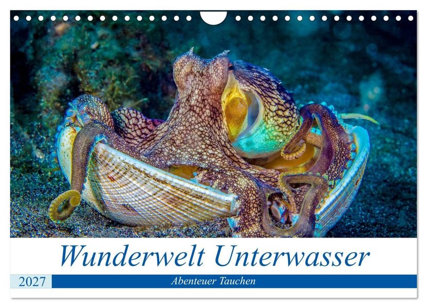 Wunderwelt Unterwasser (Wandkalender 2027 DIN A4 quer) CALVENDO Monatskalender