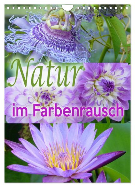 Natur im Farbenrausch (Wandkalender 2027 DIN A4 hoch) CALVENDO Monatskalender