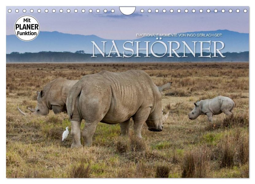 Emotionale Momente: Nashörner (Wandkalender 2027 DIN A4 quer) CALVENDO Monatskalender