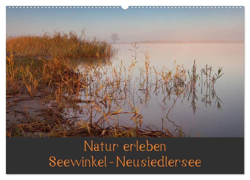 Natur erleben Seewinkel-Neusiedlersee (Wandkalender 2027 DIN A2 quer) CALVENDO Monatskalender