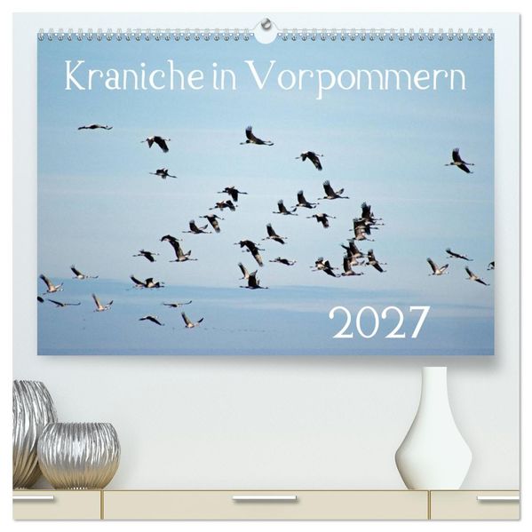 Kraniche in Vorpommern (hochwertiger Premium Wandkalender 2027 DIN A2 quer) Kunstdruck in Hochglanz