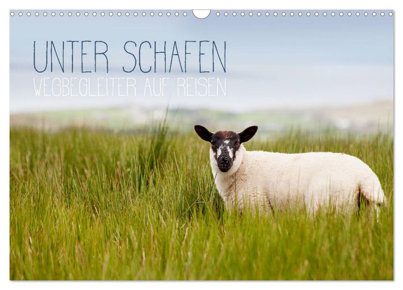 Unter Schafen - Wegbegleiter auf Reisen (Wandkalender 2027 DIN A3 quer) CALVENDO Monatskalender