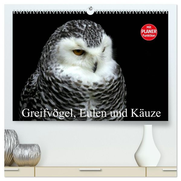 Greifvögel Eulen und Käuze (hochwertiger Premium Wandkalender 2027 DIN A2 quer) Kunstdruck in Hochglanz