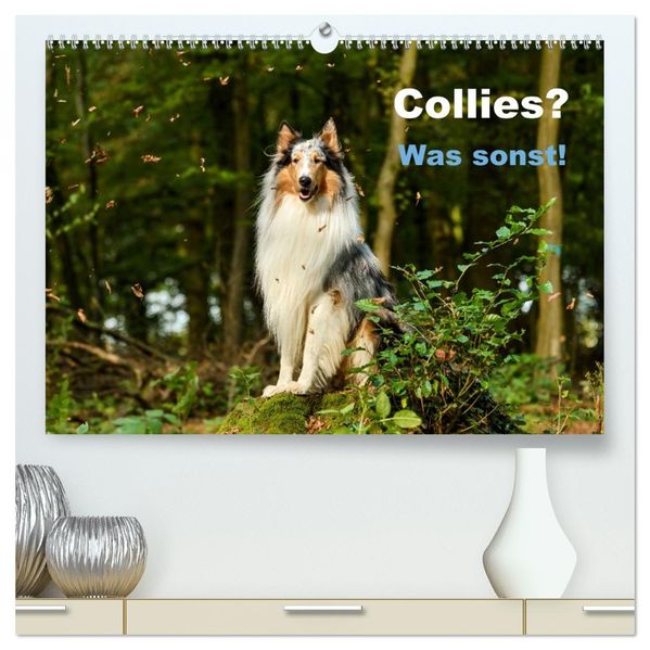 Collies? Was sonst! (hochwertiger Premium Wandkalender 2027 DIN A2 quer) Kunstdruck in Hochglanz