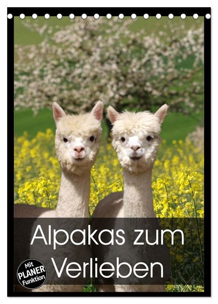 Alpakas zum Verlieben (Tischkalender 2027 DIN A5 hoch) CALVENDO Monatskalender