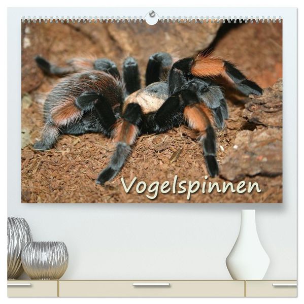 Vogelspinnen (hochwertiger Premium Wandkalender 2027 DIN A2 quer) Kunstdruck in Hochglanz