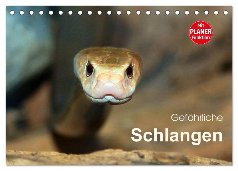 Gefährliche Schlangen (Tischkalender 2027 DIN A5 quer) CALVENDO Monatskalender