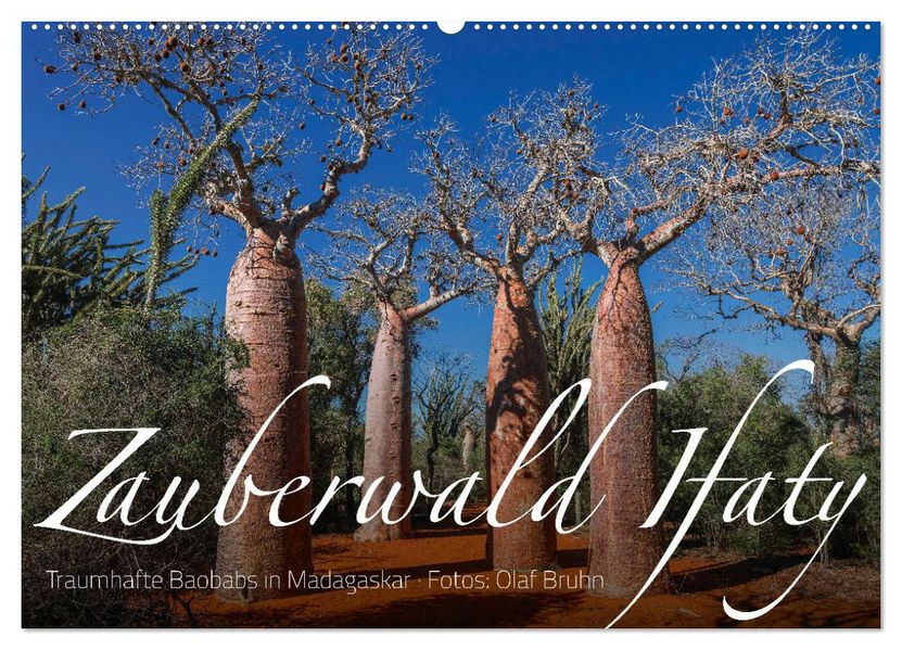 Zauberwald Ifaty · Traumhafte Baobabs in Madagaskar (Wandkalender 2027 DIN A2 quer) CALVENDO Monatskalender