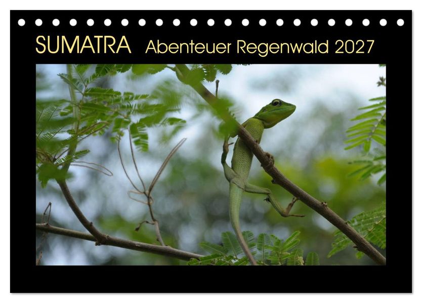 SUMATRA Abenteuer Regenwald (Tischkalender 2027 DIN A5 quer) CALVENDO Monatskalender