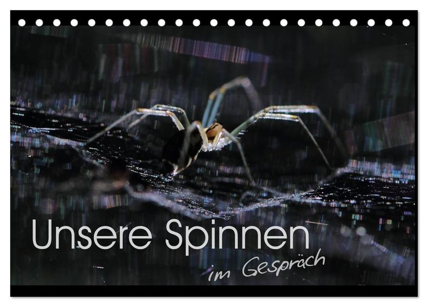 Unsere Spinnen - im Gespräch (Tischkalender 2027 DIN A5 quer) CALVENDO Monatskalender
