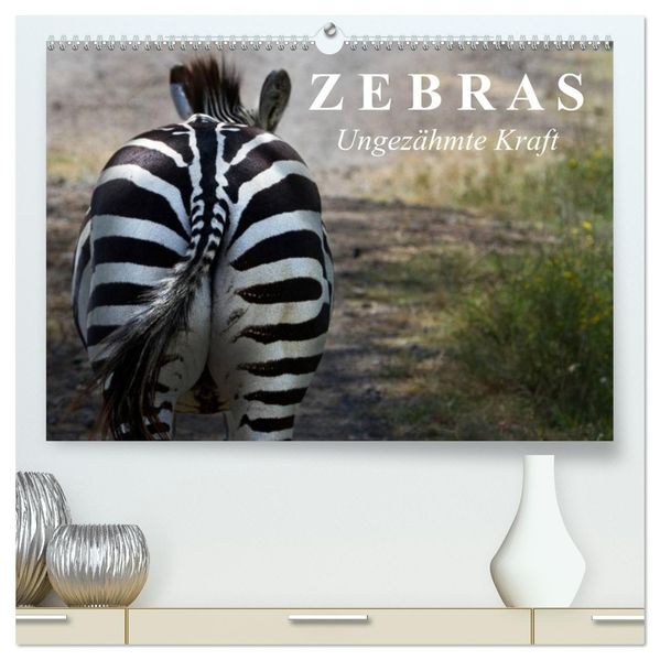 Zebras - Ungezähmte Kraft (hochwertiger Premium Wandkalender 2027 DIN A2 quer) Kunstdruck in Hochglanz
