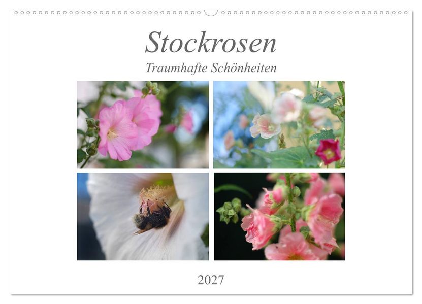 Stockrosen - Traumhafte Schönheiten (Wandkalender 2027 DIN A2 quer) CALVENDO Monatskalender