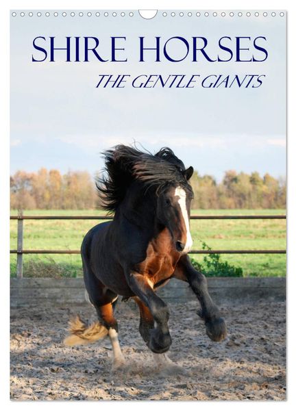 Shire Horses The Gentle Giants (Wall Calendar 2027 DIN A3 portrait) CALVENDO 12 Month Wall Calendar