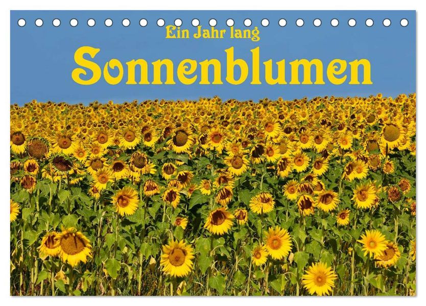 Ein Jahr lang Sonnenblumen (Tischkalender 2027 DIN A5 quer) CALVENDO Monatskalender