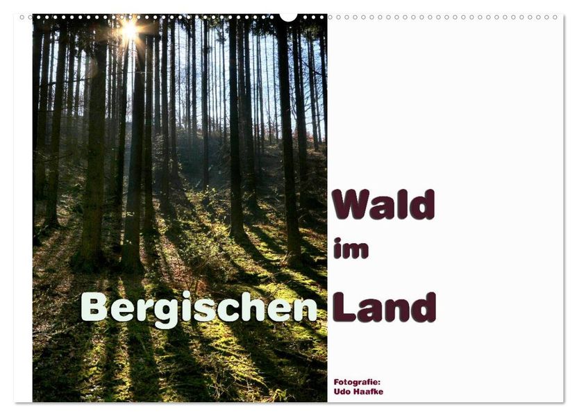 Wald im Bergischen Land 2027 (Wandkalender 2027 DIN A2 quer) CALVENDO Monatskalender