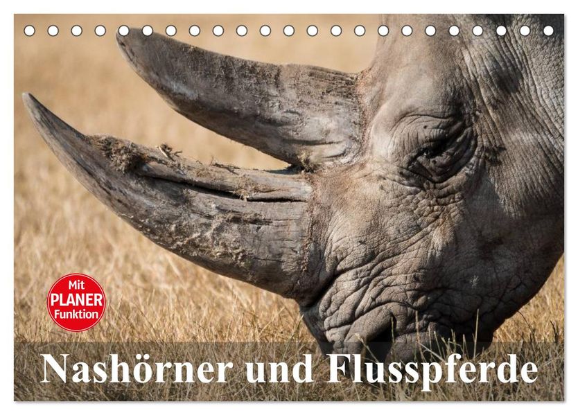 Nashörner und Flusspferde (Tischkalender 2027 DIN A5 quer) CALVENDO Monatskalender