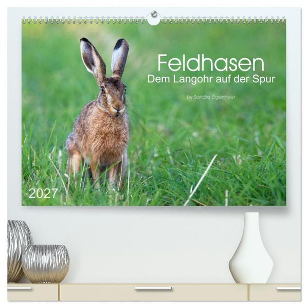 Feldhasen - dem Langohr auf der Spur (hochwertiger Premium Wandkalender 2027 DIN A2 quer) Kunstdruck in Hochglanz