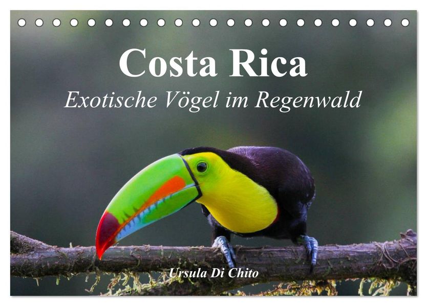 Costa Rica - Exotische Vögel im Regenwald (Tischkalender 2027 DIN A5 quer) CALVENDO Monatskalender