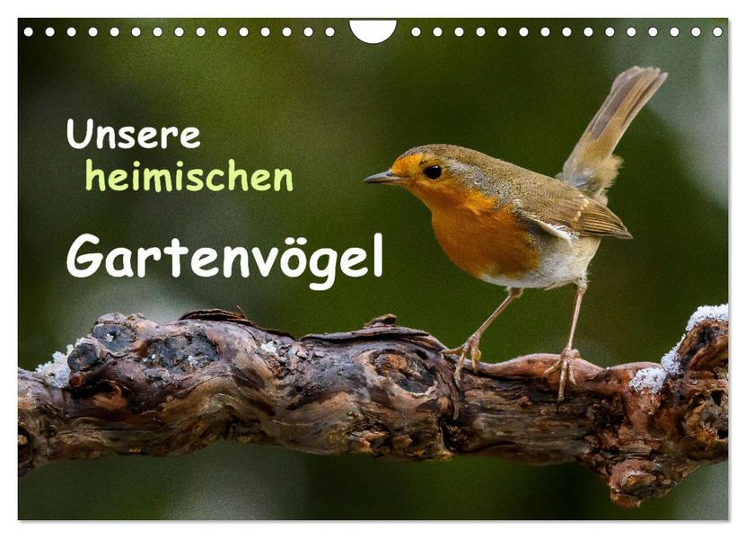 Unsere heimischen Gartenvögel (Wandkalender 2027 DIN A4 quer) CALVENDO Monatskalender