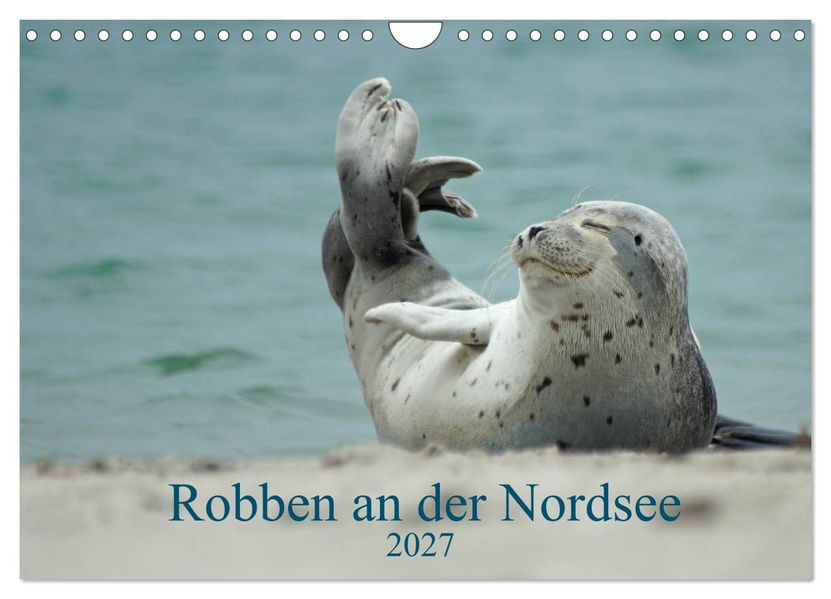 Robben an der Nordsee (Wandkalender 2027 DIN A4 quer) CALVENDO Monatskalender