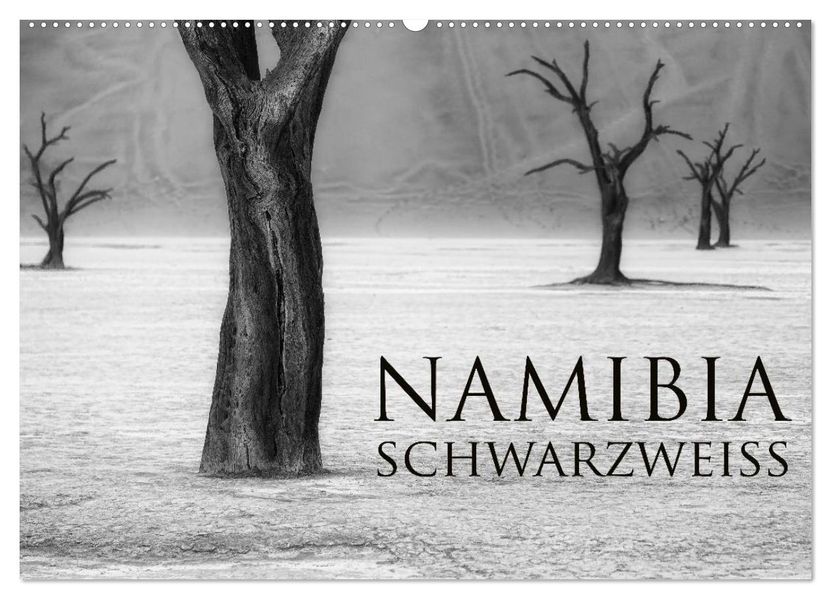 Namibia schwarzweiß (Wandkalender 2027 DIN A2 quer) CALVENDO Monatskalender