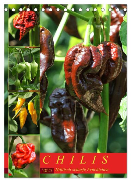 Chilis - Höllisch scharfe Früchtchen (Tischkalender 2027 DIN A5 hoch) CALVENDO Monatskalender