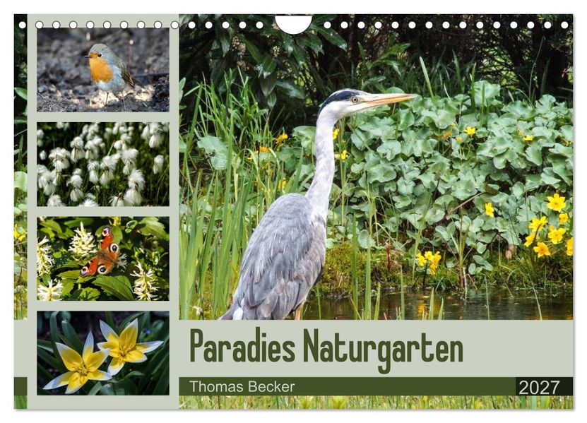 Paradies Naturgarten (Wandkalender 2027 DIN A4 quer) CALVENDO Monatskalender