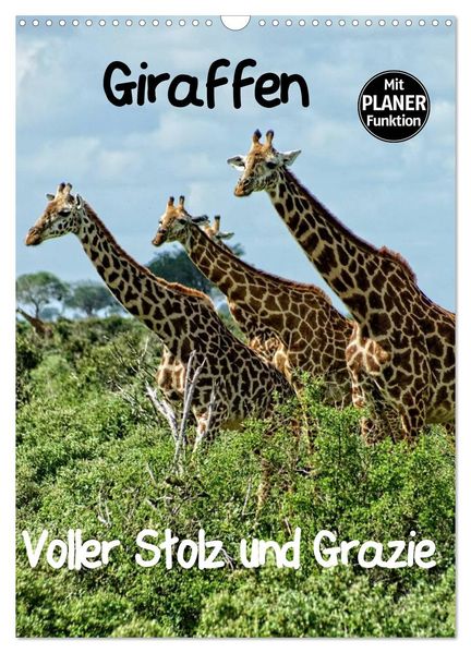 Giraffen. Voller Stolz und Grazie (Wandkalender 2027 DIN A3 hoch) CALVENDO Monatskalender
