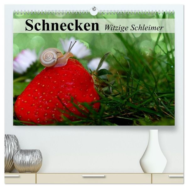 Schnecken. Witzige Schleimer (hochwertiger Premium Wandkalender 2027 DIN A2 quer) Kunstdruck in Hochglanz