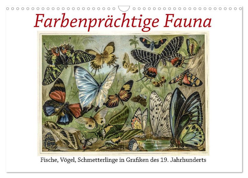 Farbenprächtige Fauna. Fische Vögel Schmetterlinge in Grafiken des 19 Jahrhunderts (Wandkalender 2027 DIN A3 quer) CALVENDO Monatskalender