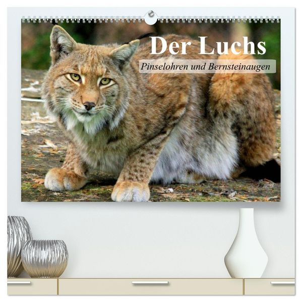 Der Luchs. Pinselohren und Bernsteinaugen (hochwertiger Premium Wandkalender 2027 DIN A2 quer) Kunstdruck in Hochglanz