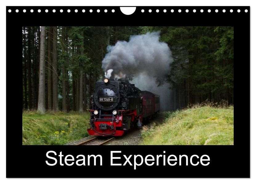 Steam Experience (Wall Calendar 2027 DIN A4 landscape) CALVENDO 12 Month Wall Calendar