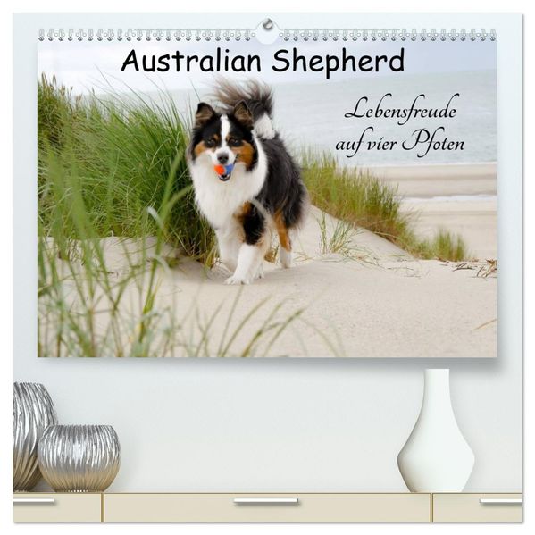 Australian Shepherd - Lebensfreude auf vier Pfoten (hochwertiger Premium Wandkalender 2027 DIN A2 quer) Kunstdruck in Hochglanz