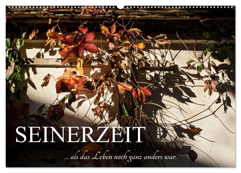 Seinerzeit (Wandkalender 2027 DIN A2 quer) CALVENDO Monatskalender