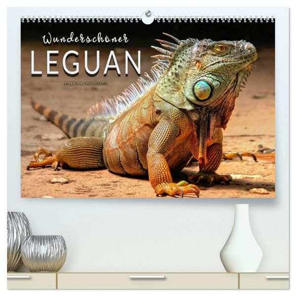Wunderschöner Leguan (hochwertiger Premium Wandkalender 2027 DIN A2 quer) Kunstdruck in Hochglanz